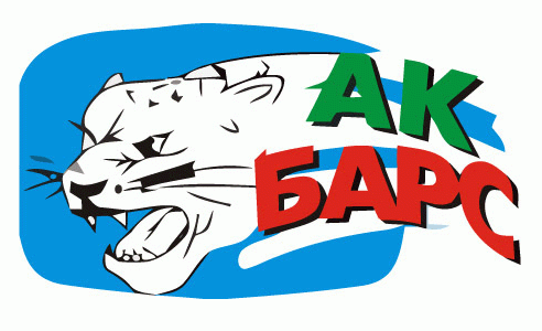 Ak Bars Kazan 2008-Pres Primary logo iron on transfers for clothing